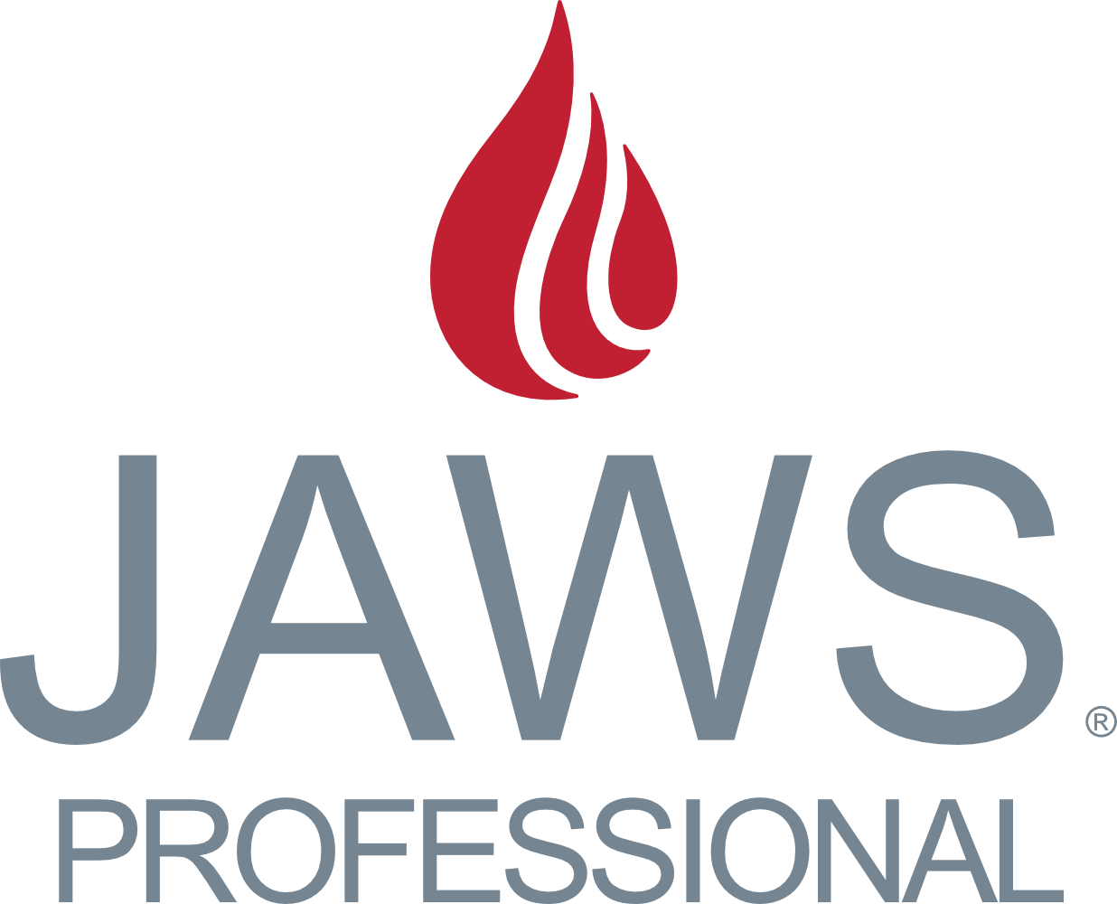 JAWS Professional